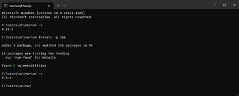 Npm Version Patch Not Working