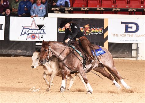 nrcha stallion stakes las vegas