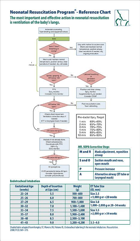 neonatal resuscitation program malaysia Melanie Grant