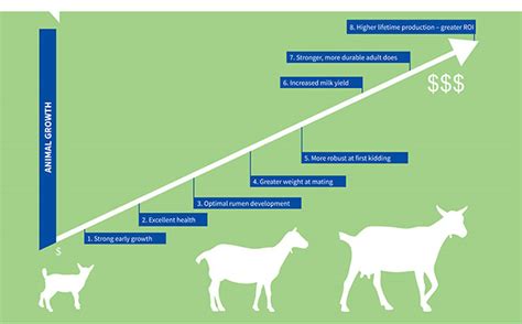 nubian goat growth chart