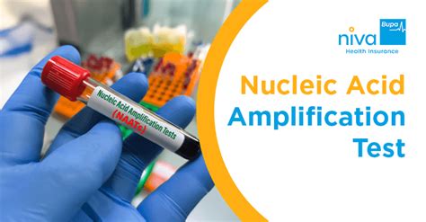 Nucleic Acid Amplification Test Example