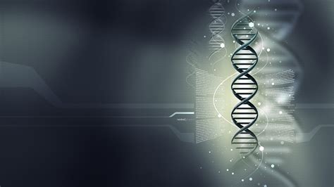Nucleic Acids