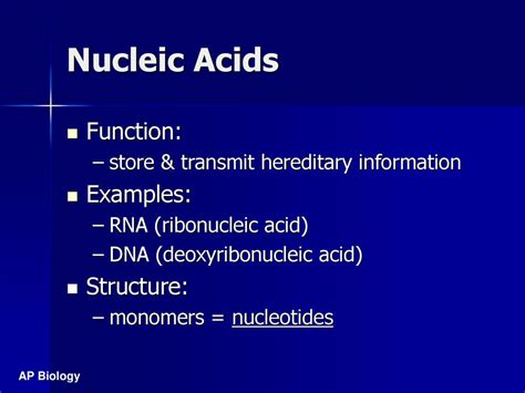 Nucleic Acids Function And Examples