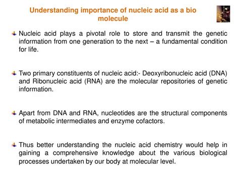 Nucleic Acids Importance