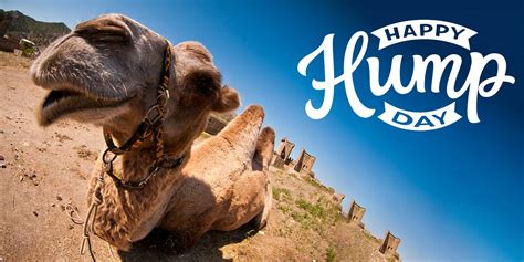 nude day hump
