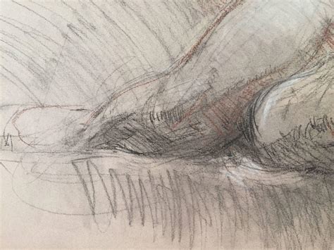 5 Easy Tips for Nude Sketching