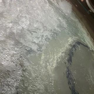 nudes figures onlyfans