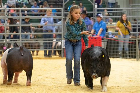 nueces county junior livestock show 2023