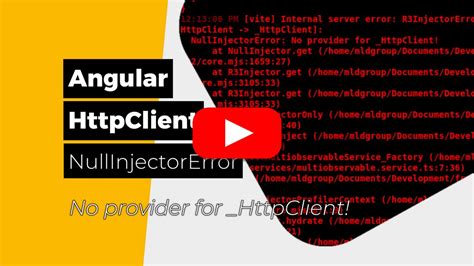 Null Injector In Angular