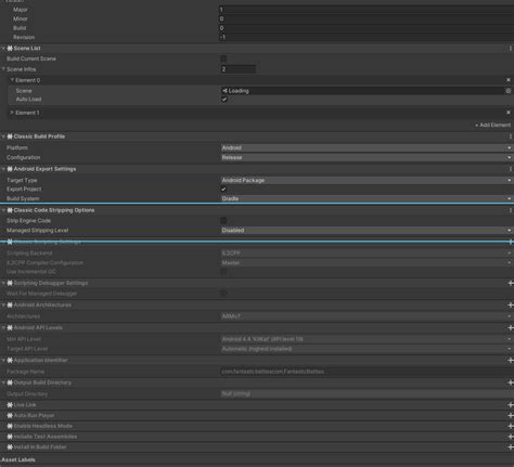 Null Pointer Dereference Unity