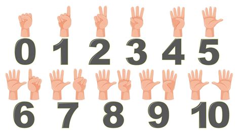 number hands