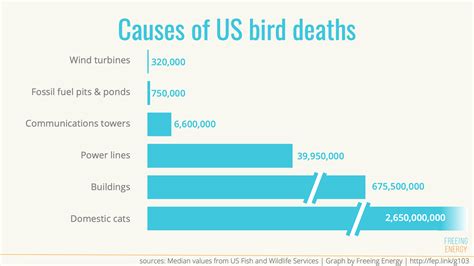 number of birds killed by cats in usa