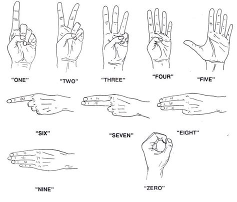 Numbers Scuba Diving
