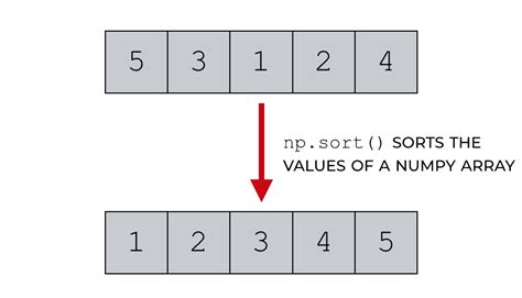 numpy sort