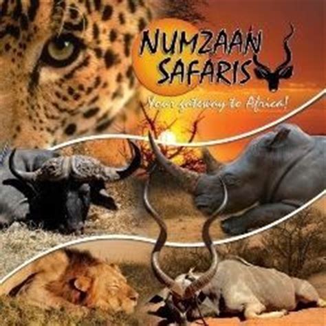 numzaan safaris price list