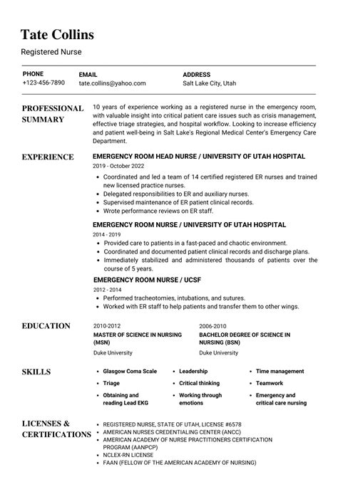 Nursing Resume Personal Statement Examples