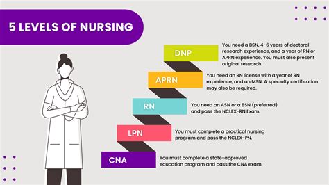 Nurse Career Level Guide