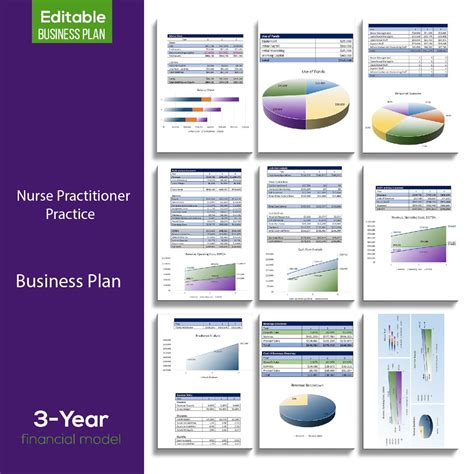 nurse practitioner business plan example