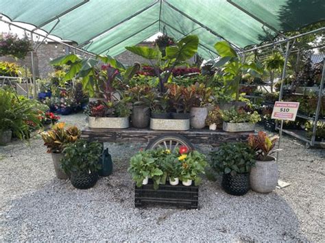 Nurseries In Chicago Area