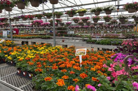 Nurseries In Fairfield Ohio
