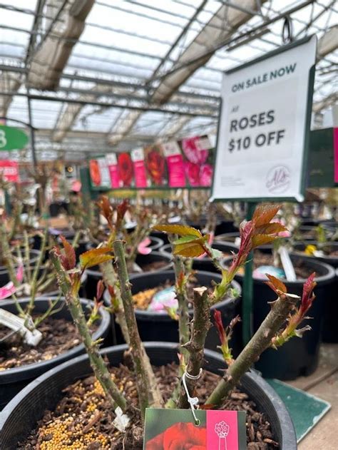 nurseries in gresham oregon