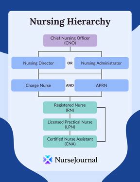 7 Types Nurses