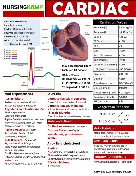 Nursing Cardiac Cheat Sheet Printable