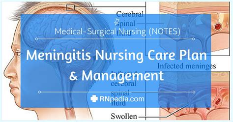 nursing care for meningitis patient