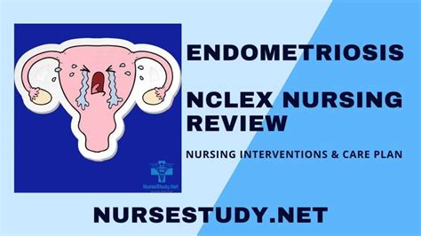 nursing diagnosis for endometritis