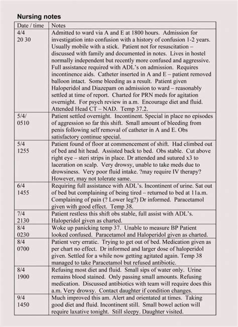 nursing documentation examples