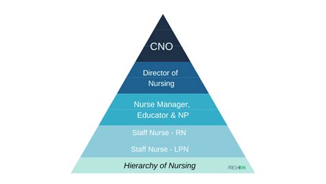 Nursing Hierarchy Explained