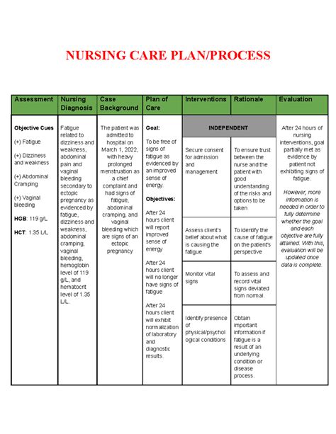 Nursing Care Plan NCP Guide