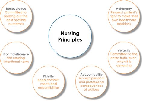 Nursing Principles