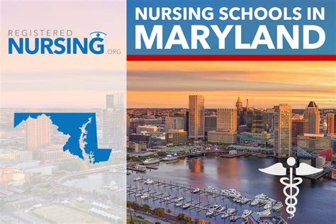 nursing schools in maryland requirements