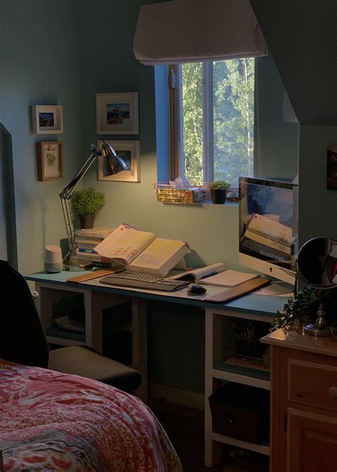 Nursing Student Desk