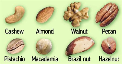 Nut Example Meaning