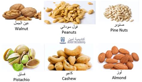 Nut In Arabic