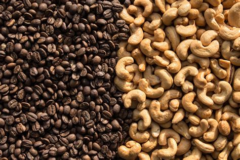 Nut Nuts Coffee Corner