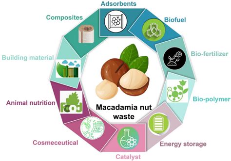 Nut Waste Definition