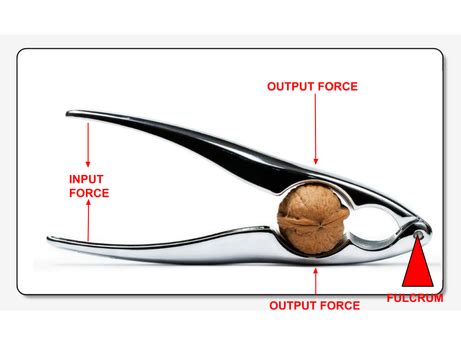 Nutcracker A Second Class Lever