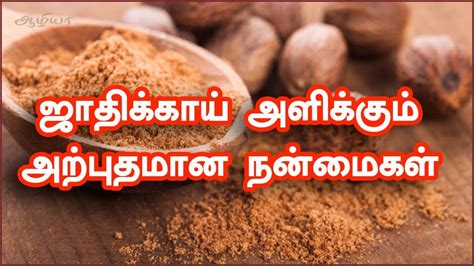 Nutmeg In Tamil