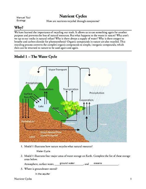 nutrient cycles in ecosystems worksheet answers
