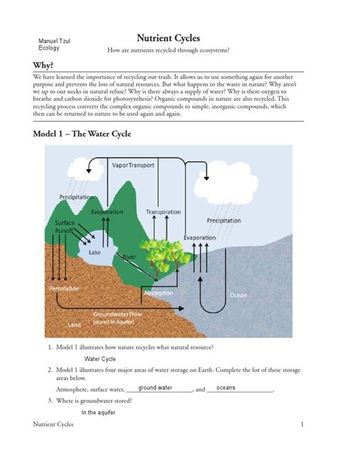 nutrient cycles worksheet answer key