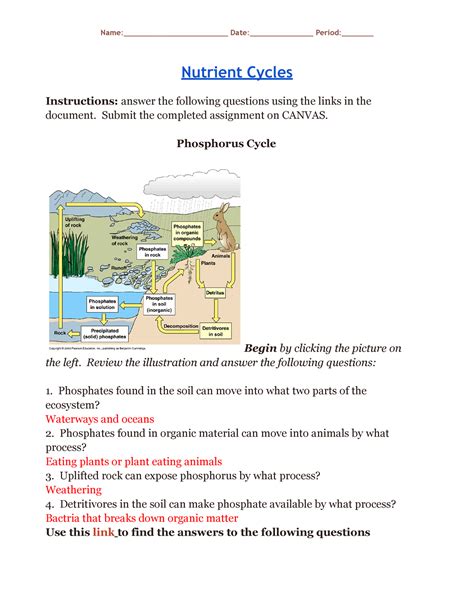 nutrient cycles worksheet answers