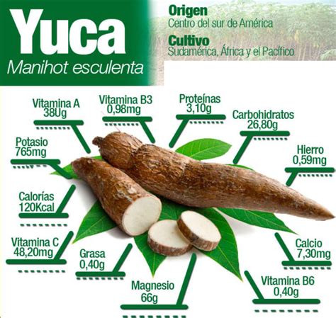 nutrientes de la yuca