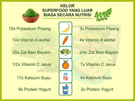 NUTRISI DAUN KELOR