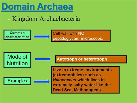nutrition for archaebacteria