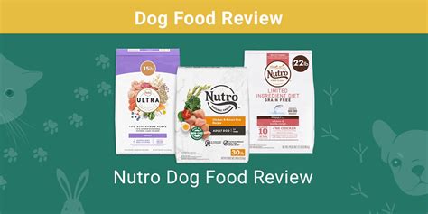 Nutro Dog Food Review 2022 Ratings Recalls