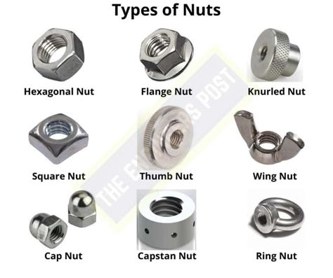 Nuts And Bolts With Examples
