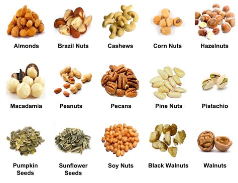 Nuts Definition And Uses
